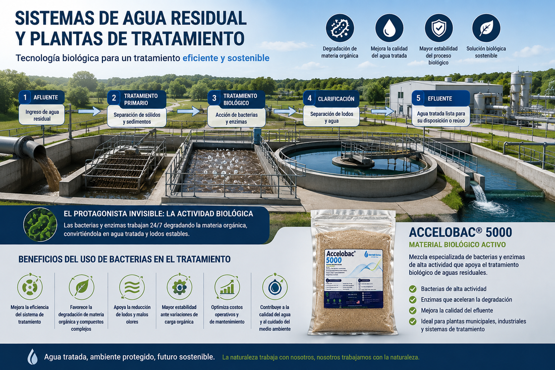 IMPORTANCIA DEL USO DE BACTERIAS EN UNA PLANTA DE TRATAMIENTO Y SISTEMAS DE AGUA RESIDUAL
