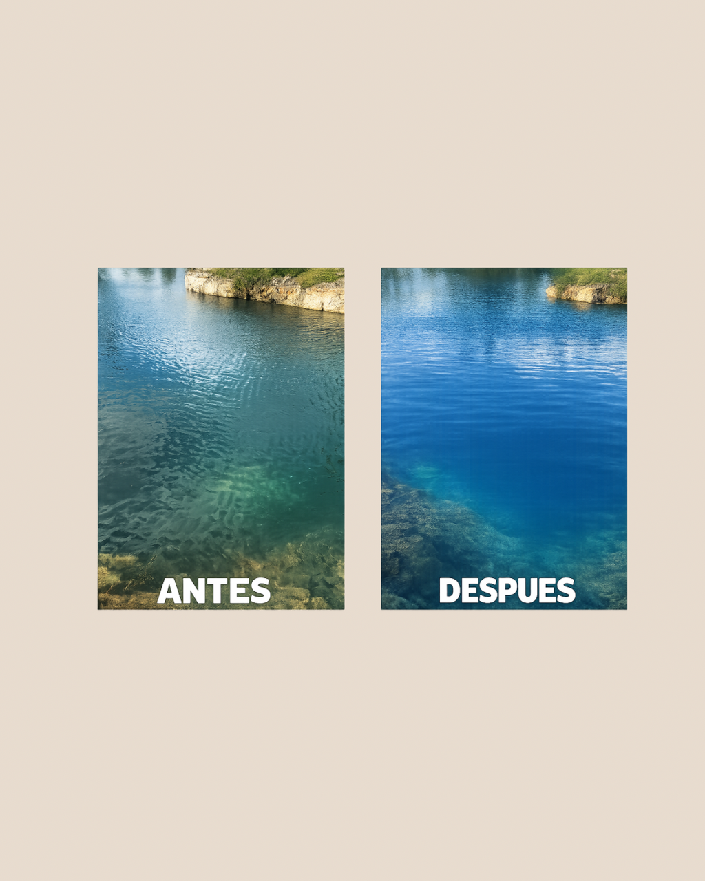 Disminución de Algas y Tinteado de Fuentes y Lagos – Agua Clara y Limpia
