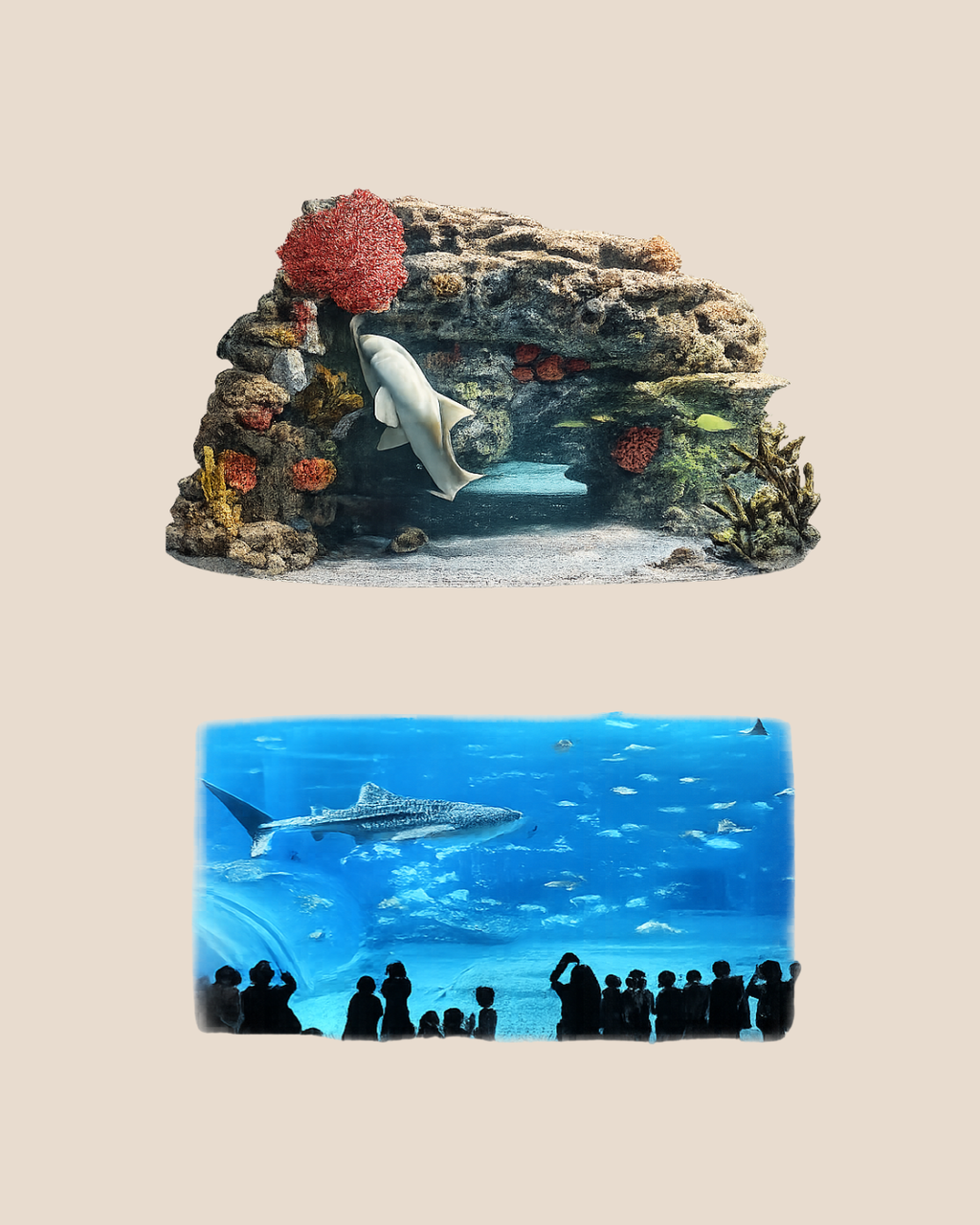 Ozono en Acuarios de Agua Dulce y Salada – Agua Saludable para tus Peces
