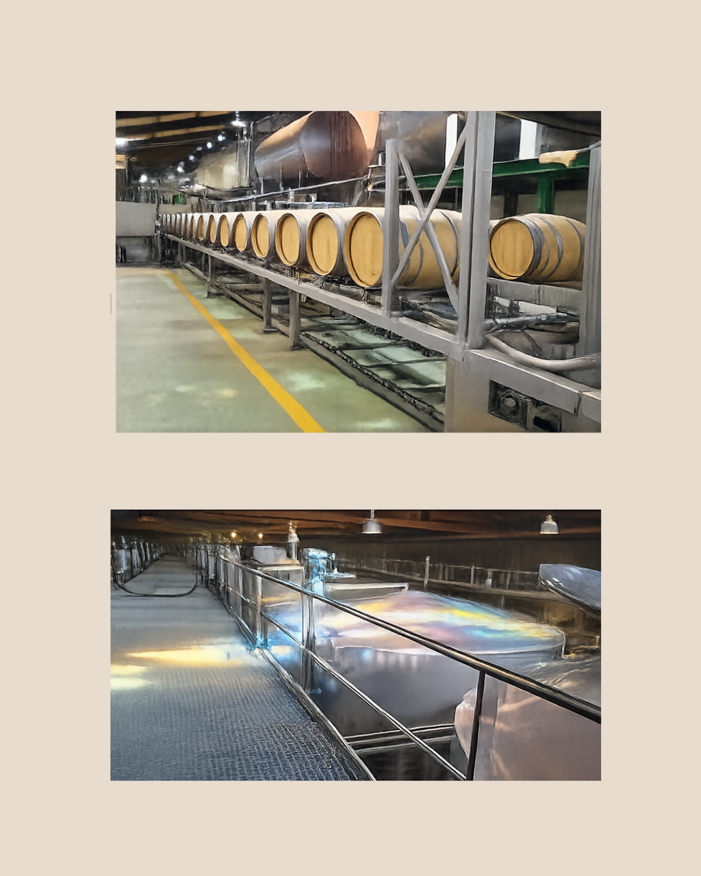 Ozono en Barricas de Vino – Desinfección Ecológica para Bodegas