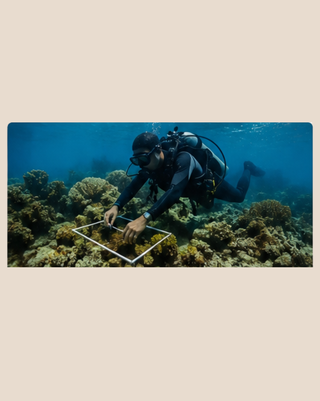 Restauración de arrecifes coralinos y diseño de barreras artificiales.
