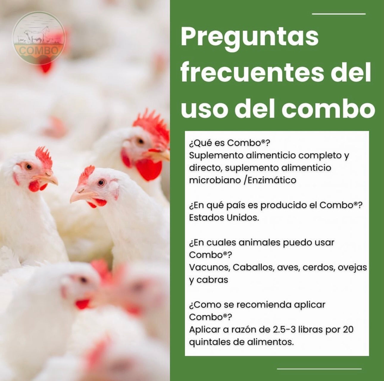 Combo Enzimas de Alimentación Animal – Mejor Digestión y Rendimiento