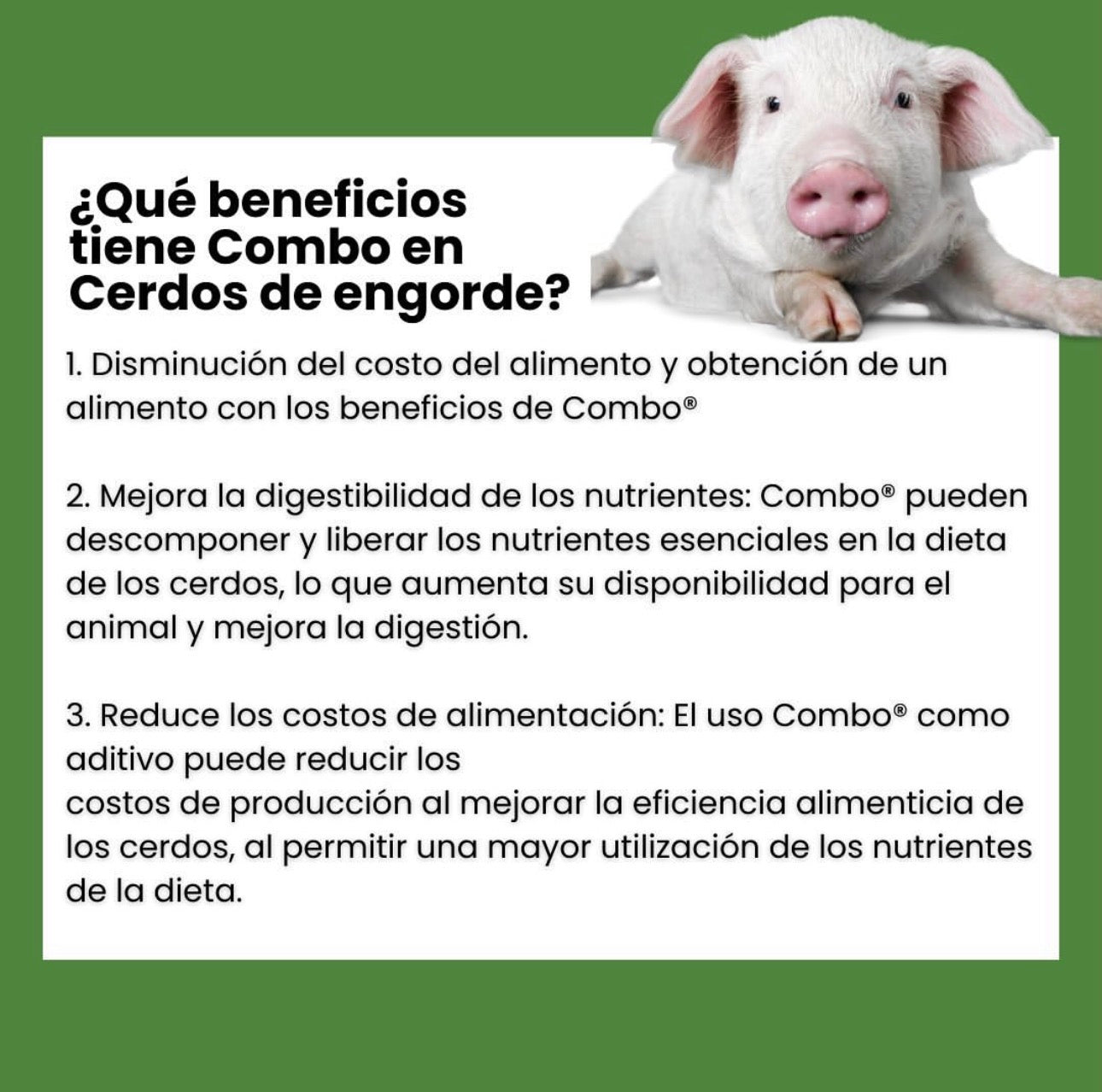 Combo Enzimas de Alimentación Animal – Mejor Digestión y Rendimiento