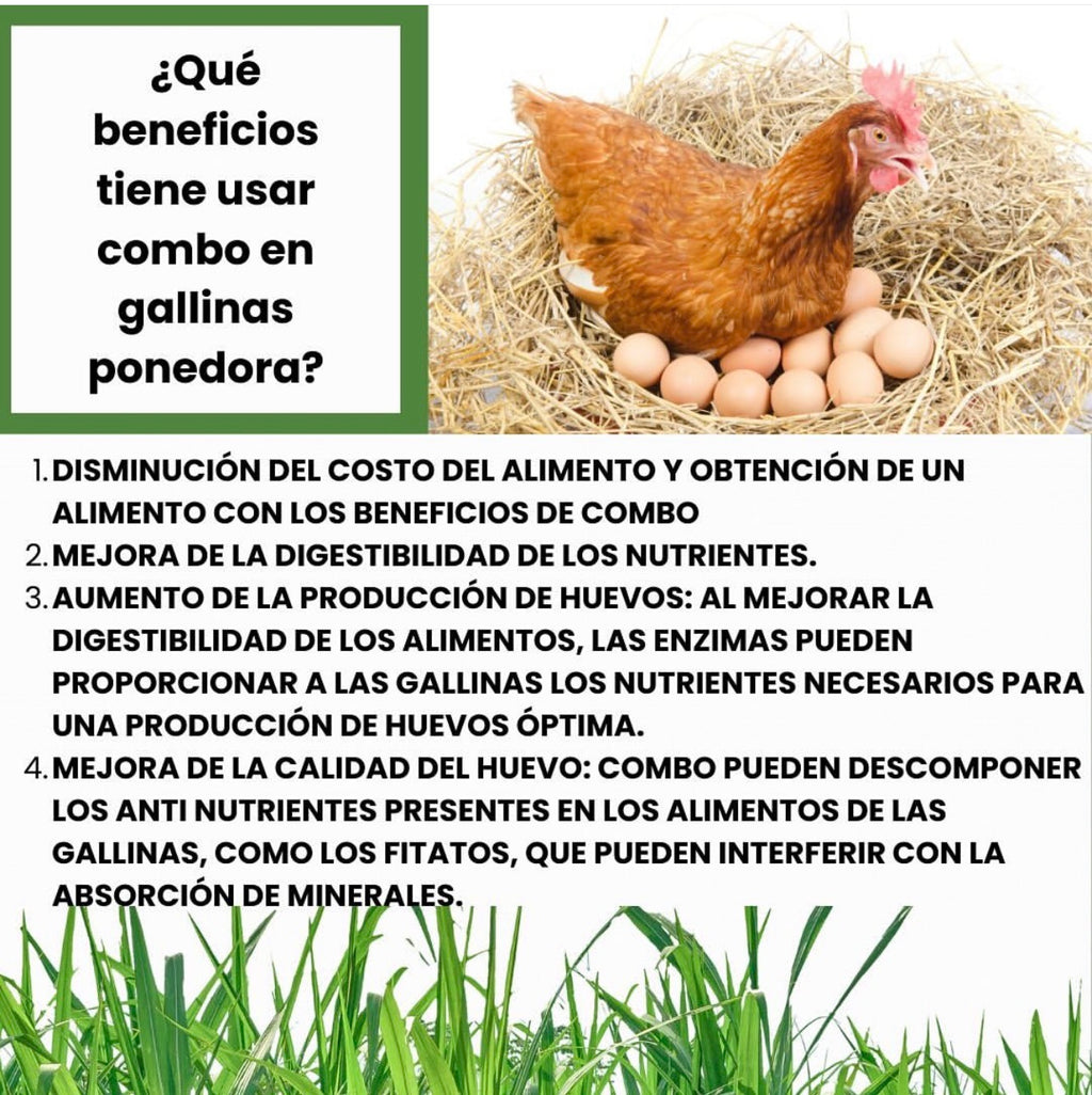 Combo Enzimas de Alimentación Animal – Mejor Digestión y Rendimiento